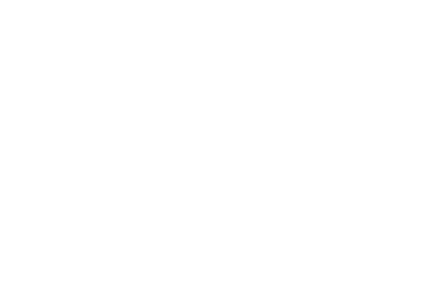 casacastrini_logo_t